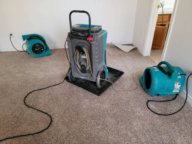 Best 24-hour water damage restoration  in North Lakeville, MA