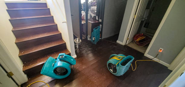 Best Commercial water damage restoration  in North Lakeville, MA