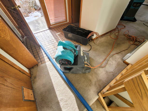 Best Ceiling water damage repair  in North Lakeville, MA