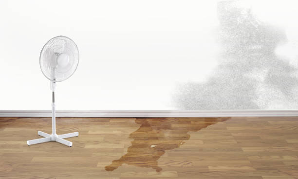 Best Residential water damage restoration  in North Lakeville, MA