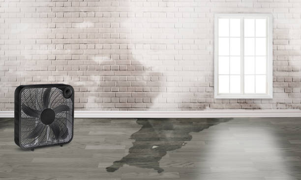 Best Fire Damage Restoration  in North Lakeville, MA