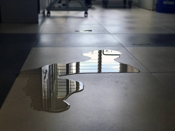 Best Water damage restoration insurance claims  in North Lakeville, MA