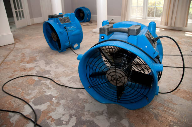 Best 24/7 water damage repair  in North Lakeville, MA