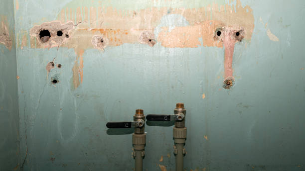 Best Local water damage restoration  in North Lakeville, MA