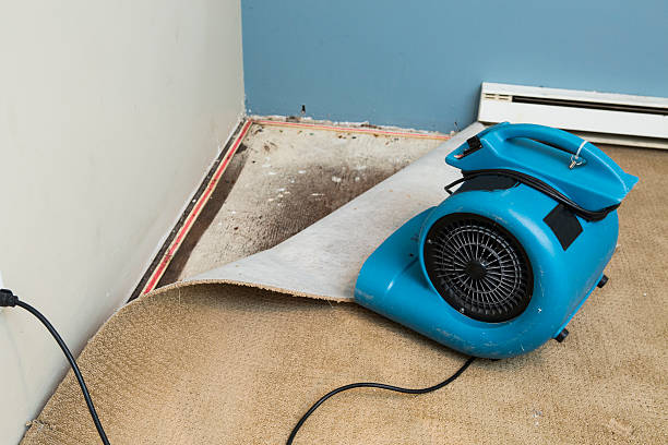  North Lakeville, MA Water damage restoration Pros